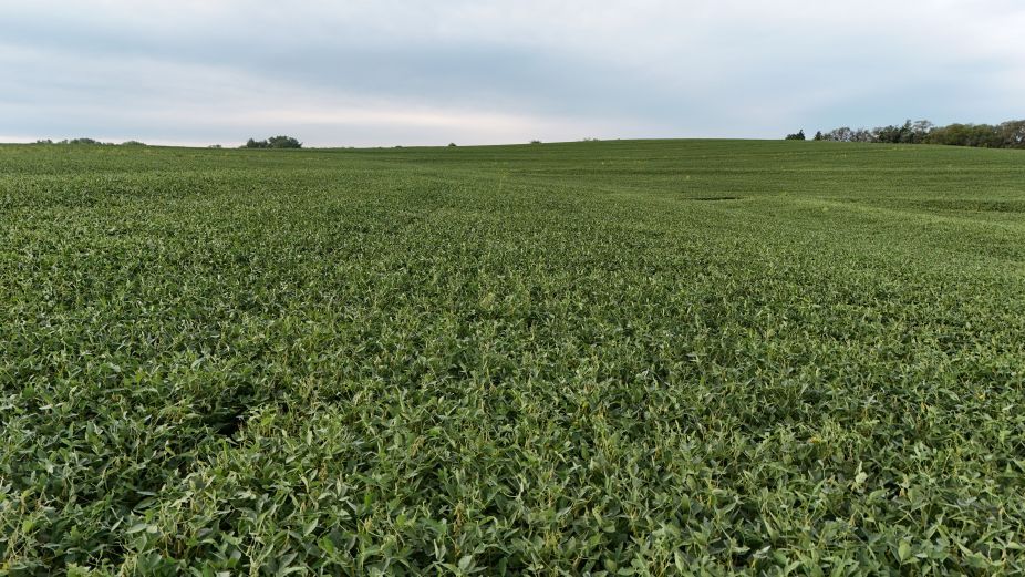 Listing Photo: Lancaster-county-ne-70.24+/--acres-cropland